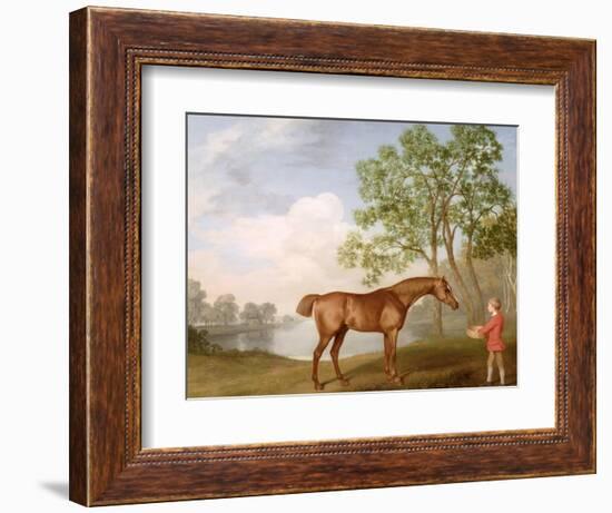 Pumpkin with a Stable-Lad, 1774 (Oil on Panel)-George Stubbs-Framed Giclee Print