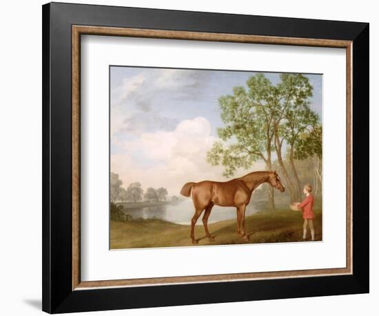 Pumpkin with a Stable-Lad, 1774 (Oil on Panel)-George Stubbs-Framed Giclee Print