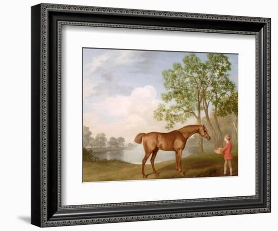 Pumpkin with a Stable-Lad, 1774 (Oil on Panel)-George Stubbs-Framed Giclee Print