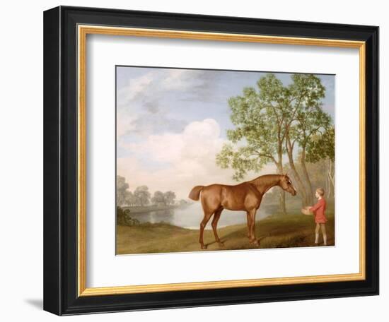 Pumpkin with a Stable-Lad, 1774 (Oil on Panel)-George Stubbs-Framed Giclee Print