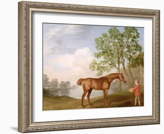 Pumpkin with a Stable-Lad, 1774 (Oil on Panel)-George Stubbs-Framed Giclee Print