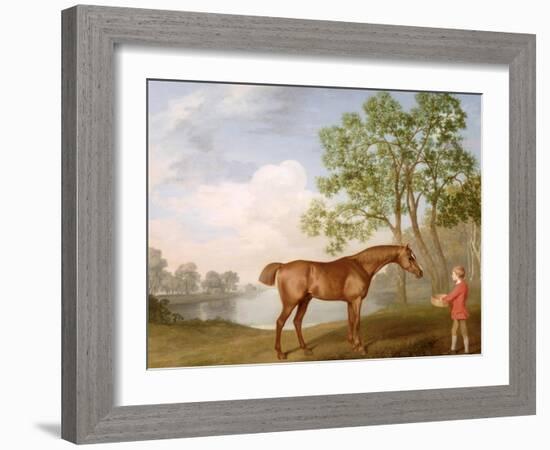 Pumpkin with a Stable-Lad, 1774 (Oil on Panel)-George Stubbs-Framed Giclee Print