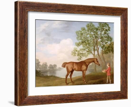 Pumpkin with a Stable-Lad, 1774 (Oil on Panel)-George Stubbs-Framed Giclee Print