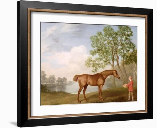 Pumpkin with a Stable-Lad, 1774 (Oil on Panel)-George Stubbs-Framed Giclee Print