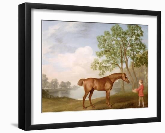 Pumpkin with a Stable-Lad, 1774 (Oil on Panel)-George Stubbs-Framed Giclee Print