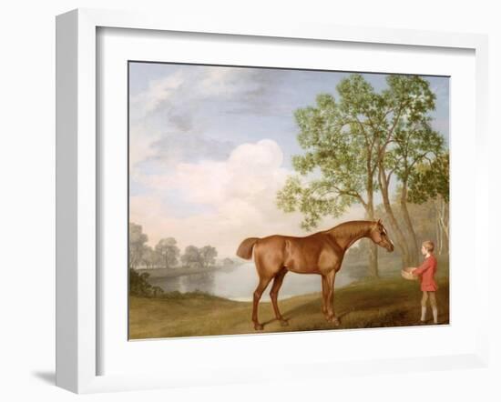 Pumpkin with a Stable-Lad, 1774 (Oil on Panel)-George Stubbs-Framed Giclee Print