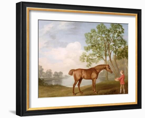 Pumpkin with a Stable-Lad, 1774 (Oil on Panel)-George Stubbs-Framed Giclee Print