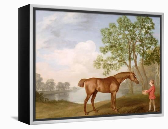 Pumpkin with a Stable-Lad, 1774 (Oil on Panel)-George Stubbs-Framed Premier Image Canvas