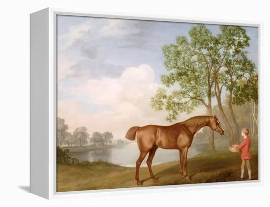 Pumpkin with a Stable-Lad, 1774 (Oil on Panel)-George Stubbs-Framed Premier Image Canvas