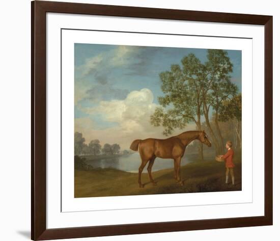 Pumpkin with a Stable-lad-George Stubbs-Framed Premium Giclee Print