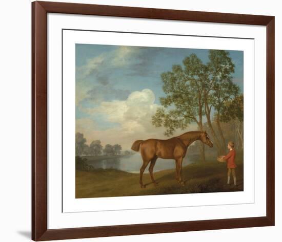 Pumpkin with a Stable-lad-George Stubbs-Framed Premium Giclee Print