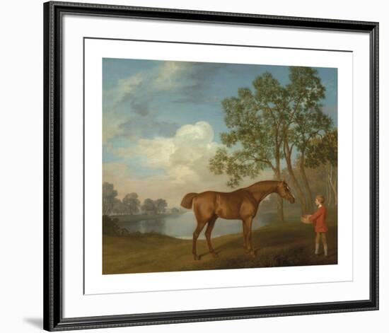 Pumpkin with a Stable-lad-George Stubbs-Framed Premium Giclee Print