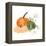 Pumpkins and Cotton I-Chris Paschke-Framed Stretched Canvas