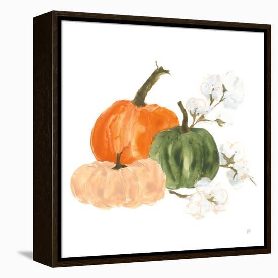 Pumpkins and Cotton I-Chris Paschke-Framed Stretched Canvas