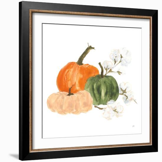 Pumpkins and Cotton I-Chris Paschke-Framed Art Print