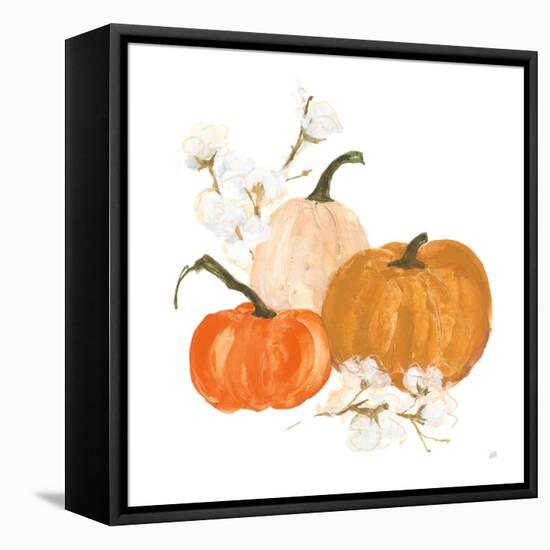 Pumpkins and Cotton II-Chris Paschke-Framed Stretched Canvas