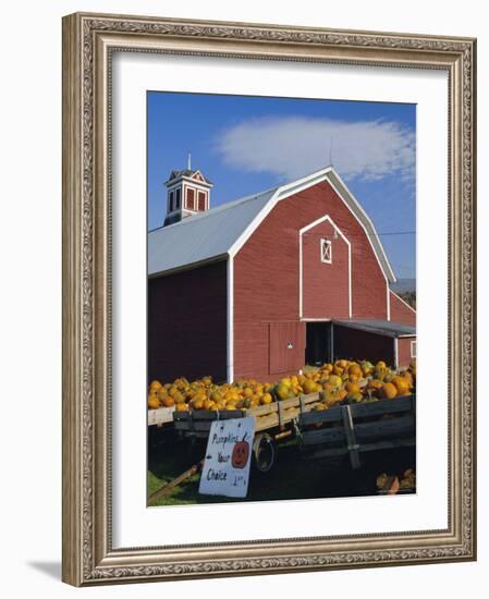 Pumpkins for Sale in Front of a Red Barn, Vermont, New England, USA-Fraser Hall-Framed Photographic Print
