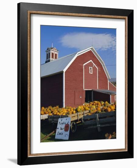 Pumpkins for Sale in Front of a Red Barn, Vermont, New England, USA-Fraser Hall-Framed Photographic Print