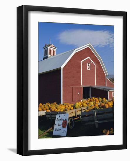 Pumpkins for Sale in Front of a Red Barn, Vermont, New England, USA-Fraser Hall-Framed Photographic Print