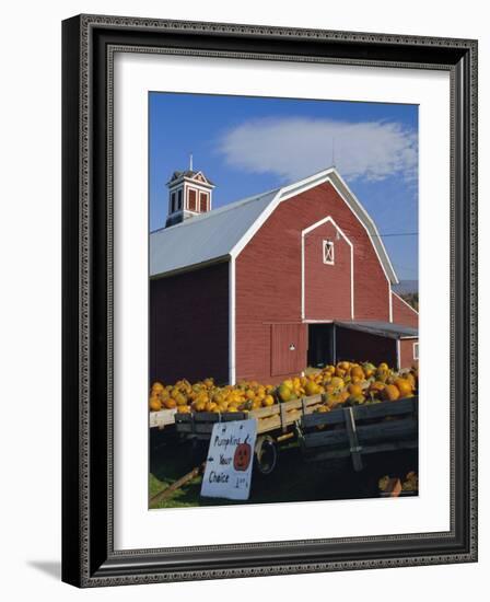 Pumpkins for Sale in Front of a Red Barn, Vermont, New England, USA-Fraser Hall-Framed Photographic Print