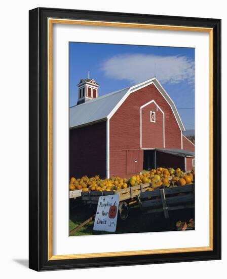 Pumpkins for Sale in Front of a Red Barn, Vermont, New England, USA-Fraser Hall-Framed Photographic Print