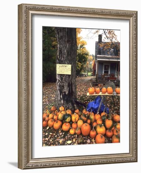 Pumpkins For Sale in New England-Bill Bachmann-Framed Photographic Print