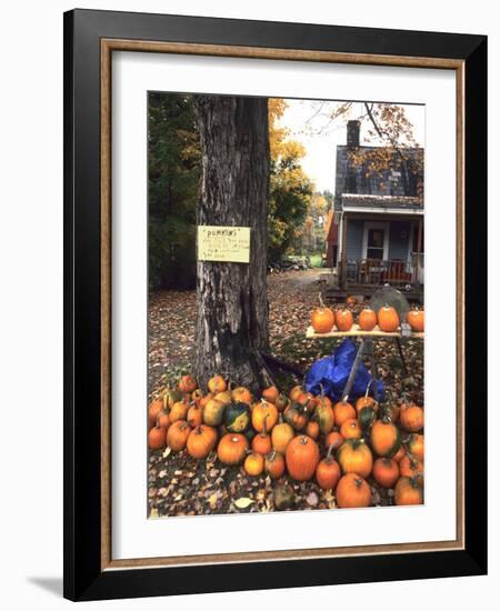 Pumpkins For Sale in New England-Bill Bachmann-Framed Photographic Print