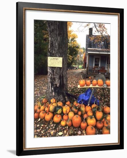 Pumpkins For Sale in New England-Bill Bachmann-Framed Photographic Print