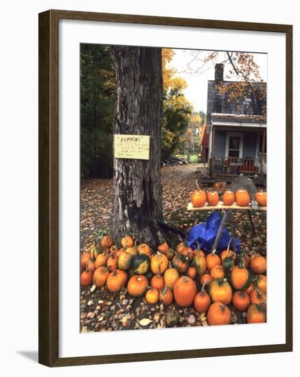 Pumpkins For Sale in New England-Bill Bachmann-Framed Photographic Print