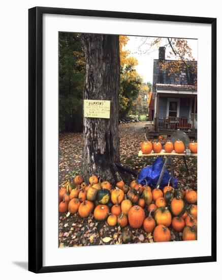 Pumpkins For Sale in New England-Bill Bachmann-Framed Photographic Print