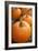 Pumpkins I-Karyn Millet-Framed Photographic Print