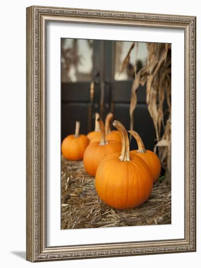 Pumpkins II-Karyn Millet-Framed Photographic Print