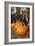 Pumpkins II-Karyn Millet-Framed Photographic Print