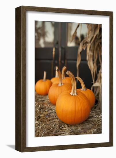 Pumpkins II-Karyn Millet-Framed Photographic Print