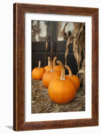 Pumpkins II-Karyn Millet-Framed Photographic Print