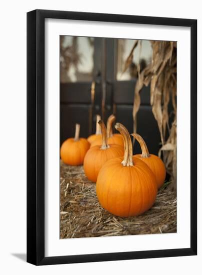 Pumpkins II-Karyn Millet-Framed Photographic Print