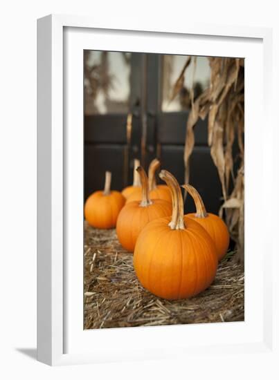 Pumpkins II-Karyn Millet-Framed Photographic Print