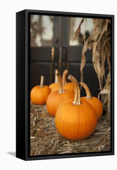Pumpkins II-Karyn Millet-Framed Premier Image Canvas