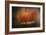 Pumpkins in October-Jai Johnson-Framed Giclee Print