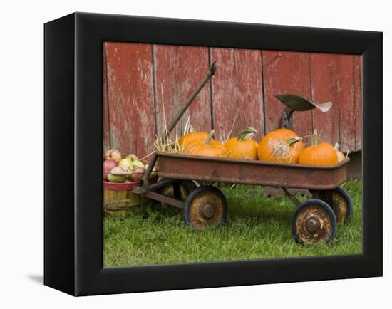 Pumpkins in Old Wagon-Chuck Haney-Framed Premier Image Canvas
