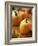 Pumpkins on Bale of Hay-David Papazian-Framed Photographic Print