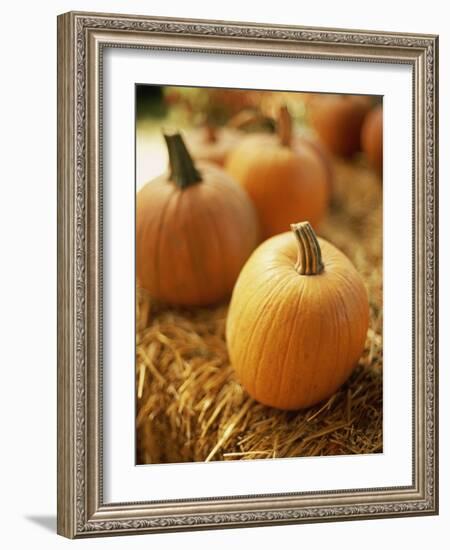 Pumpkins on Bale of Hay-David Papazian-Framed Photographic Print