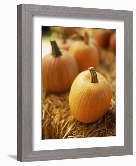 Pumpkins on Bale of Hay-David Papazian-Framed Photographic Print