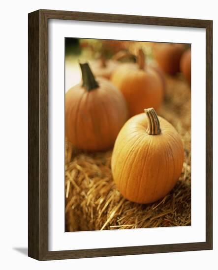 Pumpkins on Bale of Hay-David Papazian-Framed Photographic Print