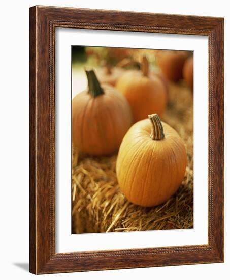 Pumpkins on Bale of Hay-David Papazian-Framed Photographic Print