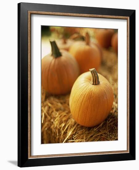 Pumpkins on Bale of Hay-David Papazian-Framed Photographic Print