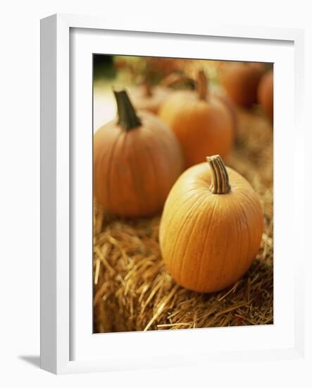 Pumpkins on Bale of Hay-David Papazian-Framed Photographic Print