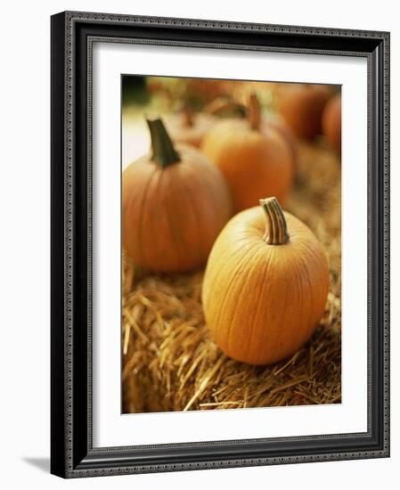 Pumpkins on Bale of Hay-David Papazian-Framed Photographic Print