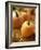 Pumpkins on Bale of Hay-David Papazian-Framed Photographic Print