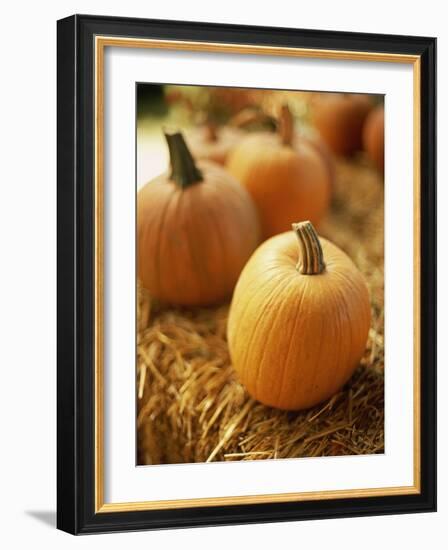 Pumpkins on Bale of Hay-David Papazian-Framed Photographic Print